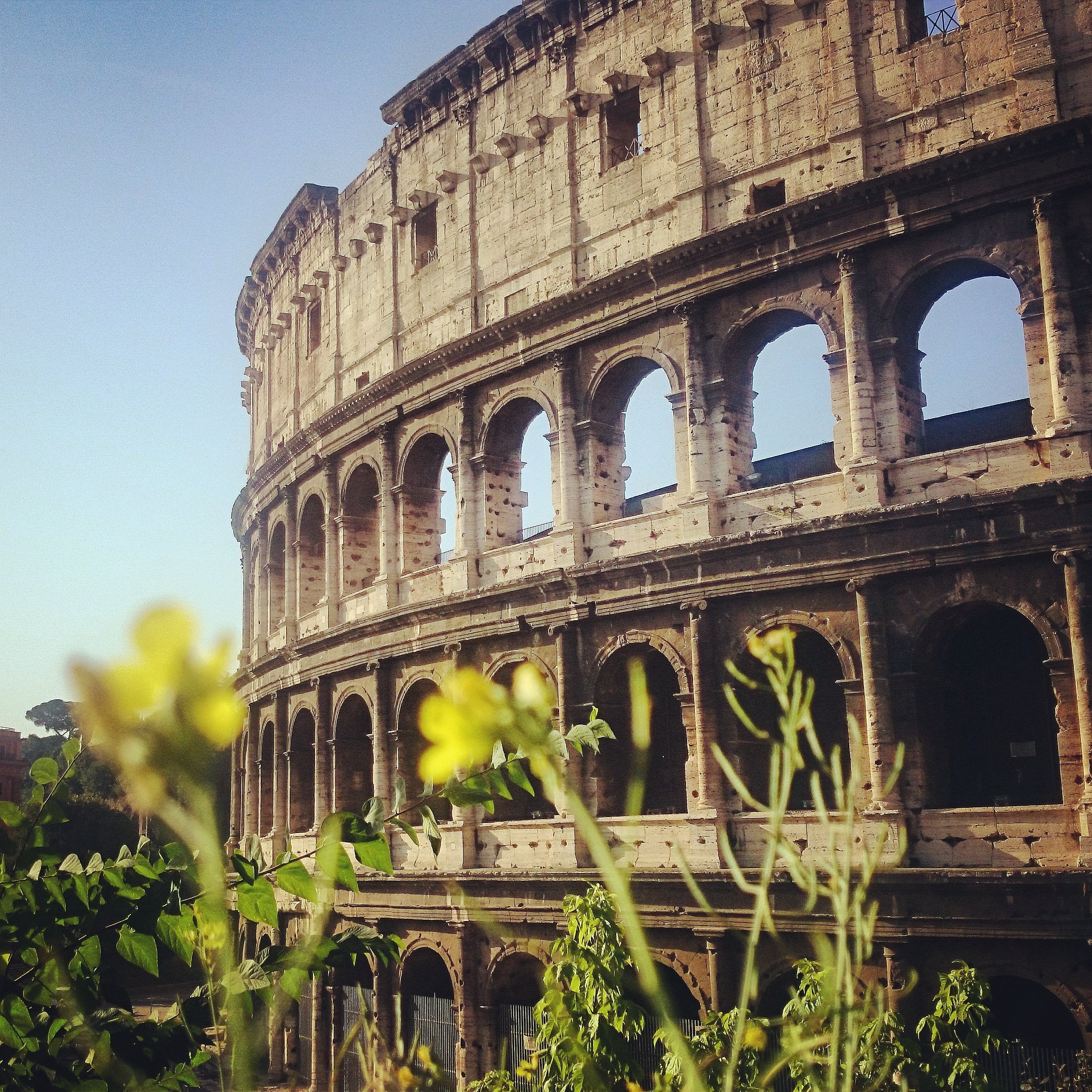 The Roman Experience: Colosseum & Cooking Class | Private